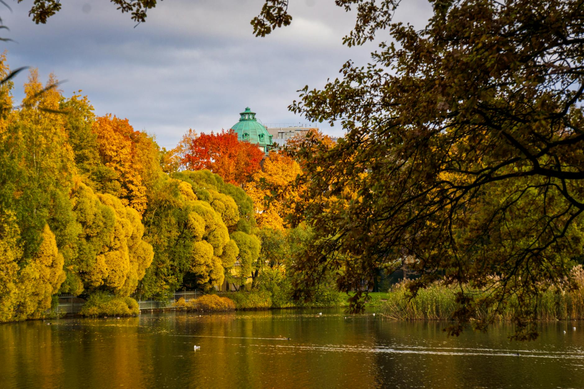 Jezioro otoczone kolorowymi jesiennymi drzewami w Petersburgu